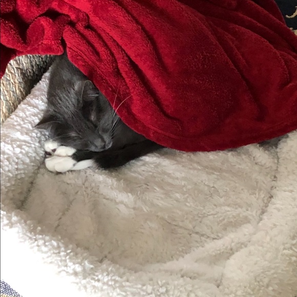 Fiona, My Posh Helper - Picture 3 of 10